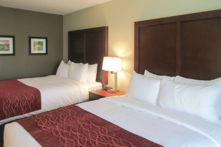 Standard Quadruple room