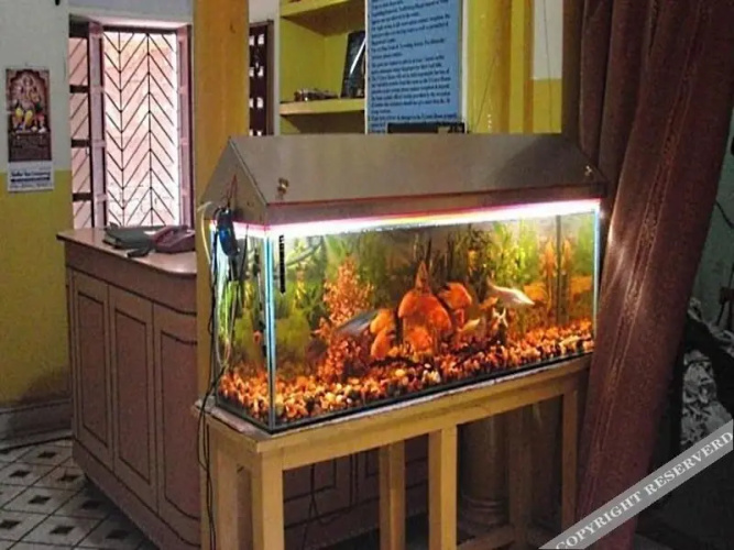 Shivakashi Guest House