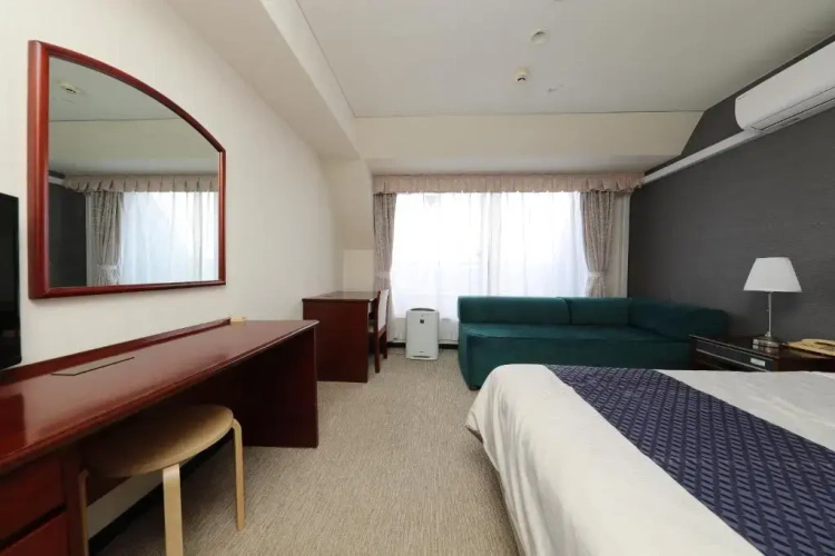 Standard Double room with balcony and with view