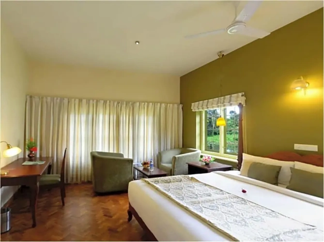Deluxe Double room with balcony and with view