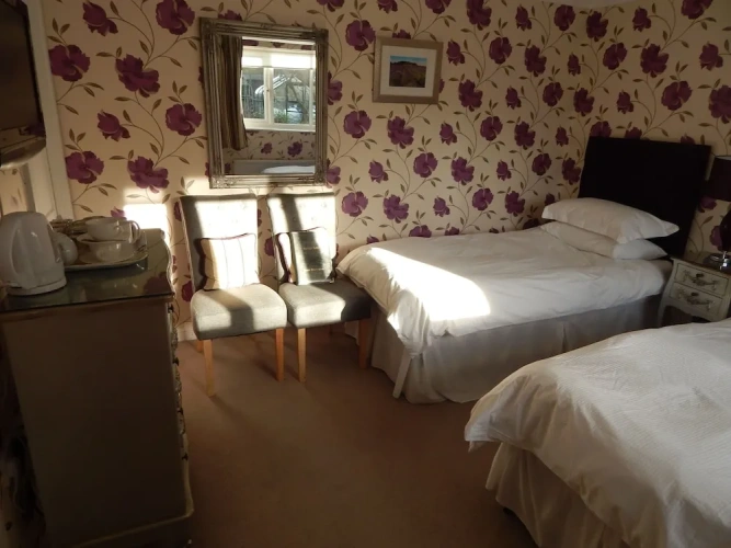 Standard Twin room with garden view