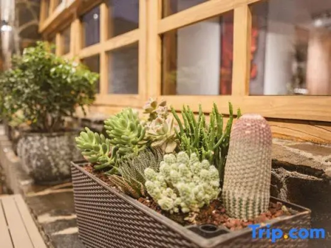 Wanfeng Forest Xihe - Mountain House B&B