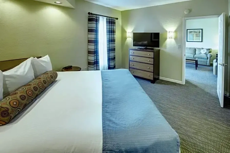 1 Bedroom Suite