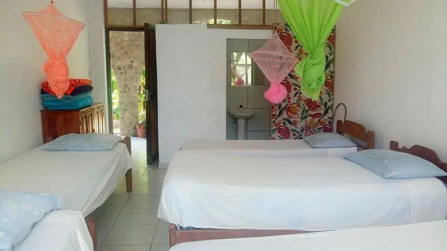 Hostal El Lobo - Adults Only - Hostel