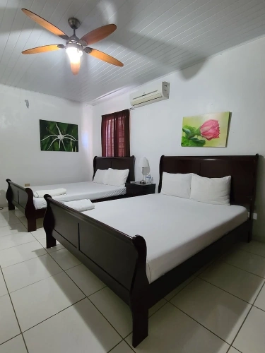 Superior Double room with balcony and with sea view