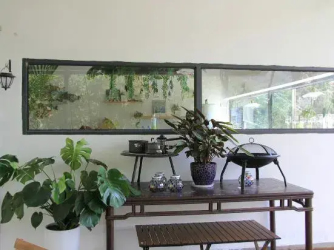 Piny garden