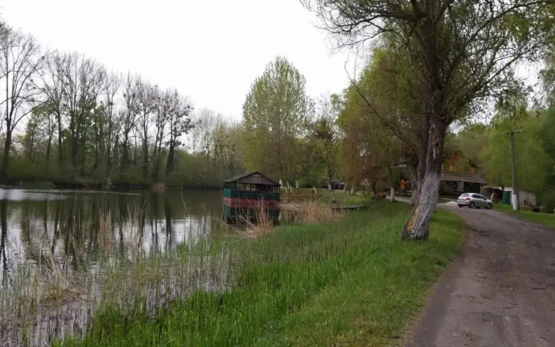 Cottage