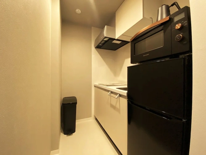 Standard Penthouse room