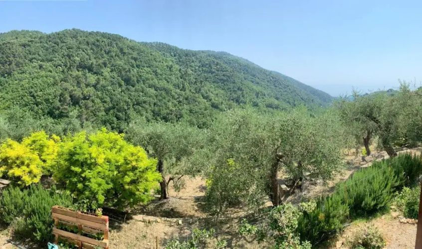 La porta del Sole