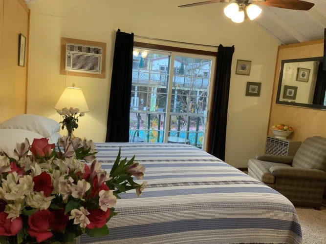 Standard Double room with view