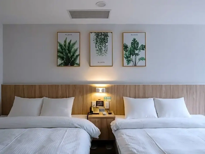 Standard Twin room with view
