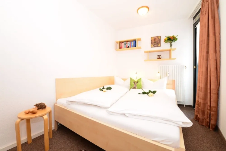 Economy Single Apartment with balcony