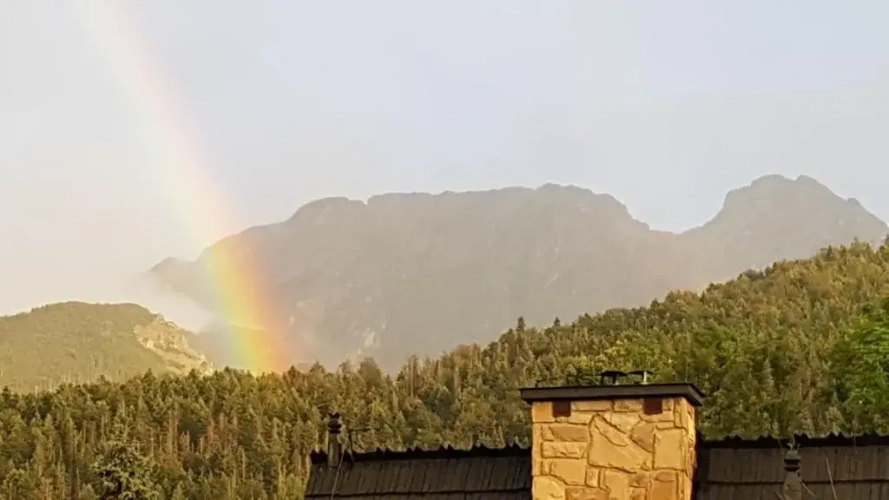 Standard Double room with mountain view