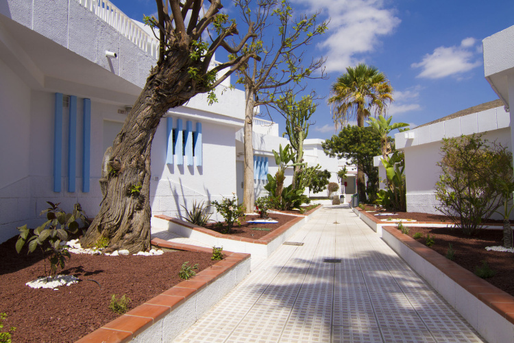 Checkin Bungalows Atlantida photo 18