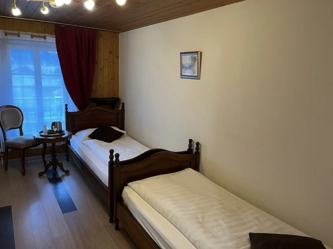 Standard Twin room with river view