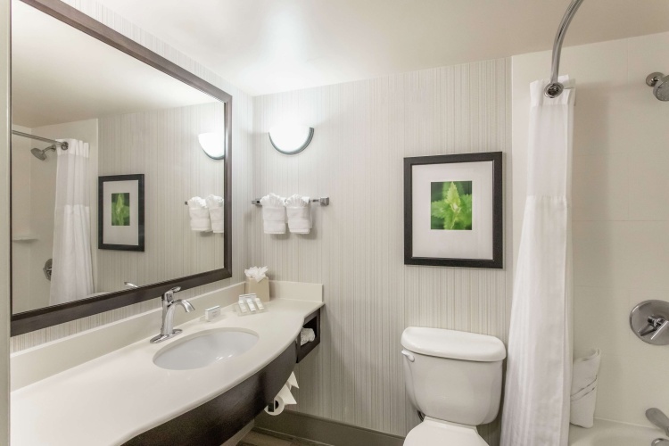 Hilton Garden Inn Orlando at SeaWorld photo 11