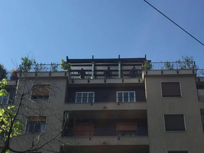 Terranova Milano City