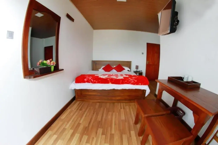 Standard Double room with lake view