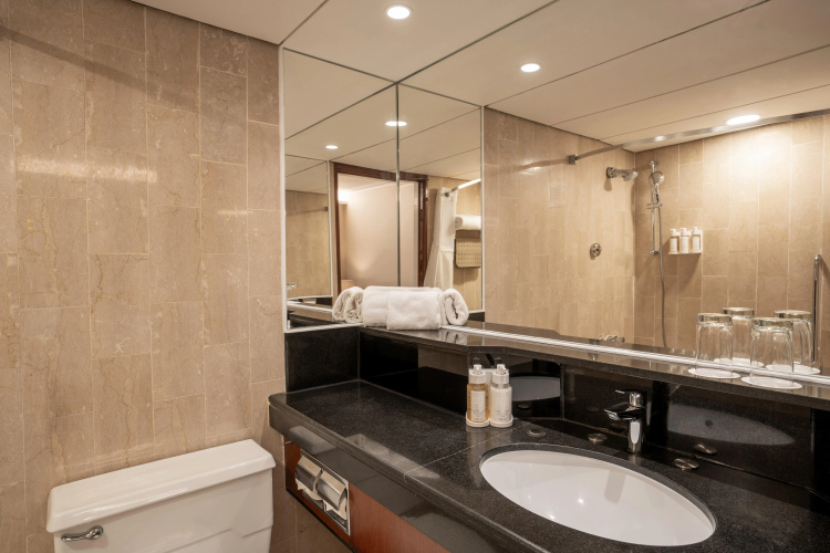 Holiday Inn Golden Mile photo 11