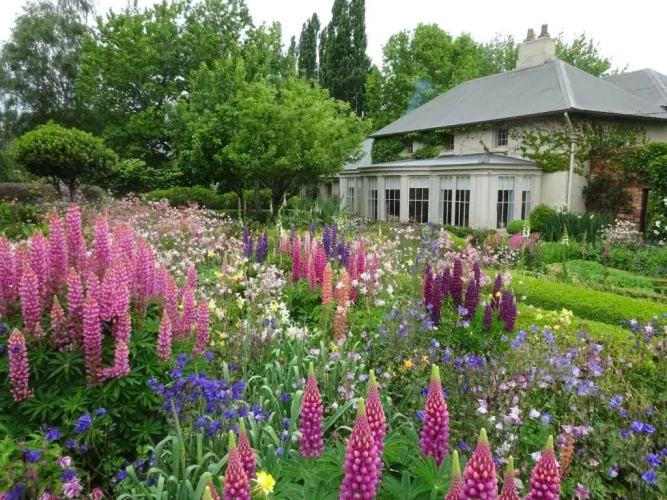 Cottage