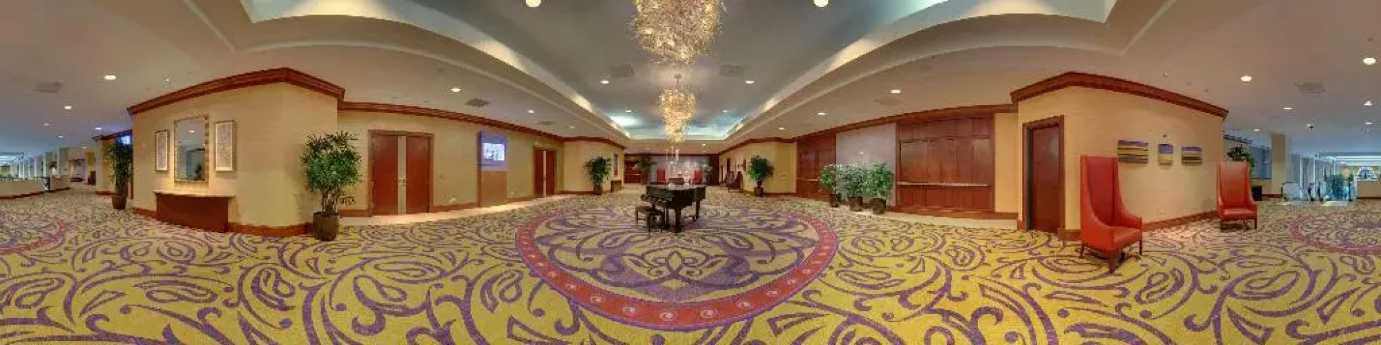 Hilton Charlotte Uptown photo 23