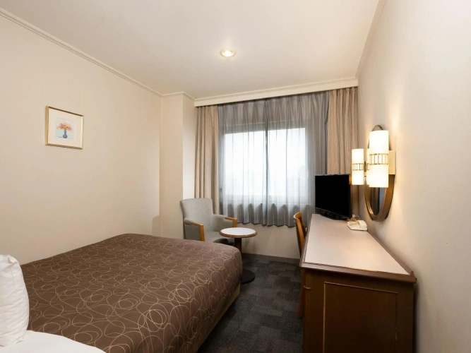 Standard Double room with park view
