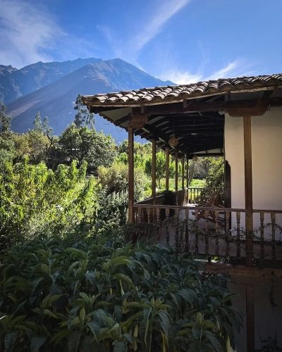 Superior room with balcony and with garden view