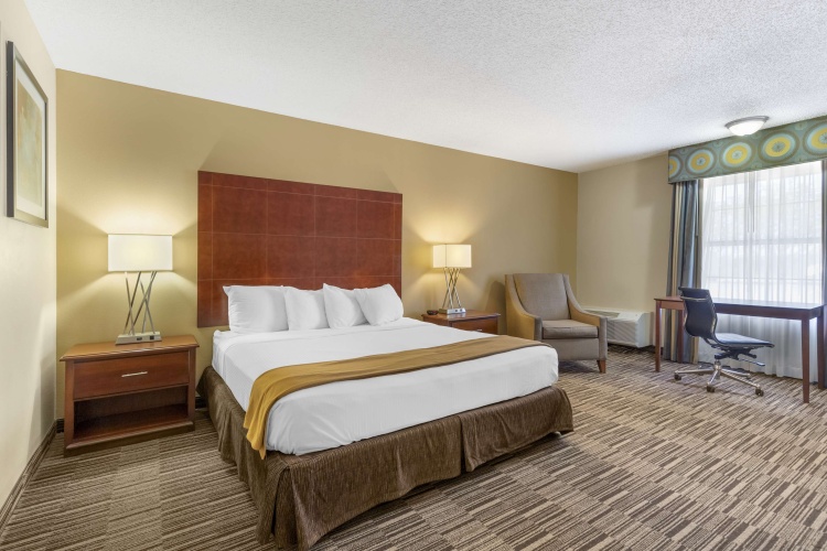 Standard Double room