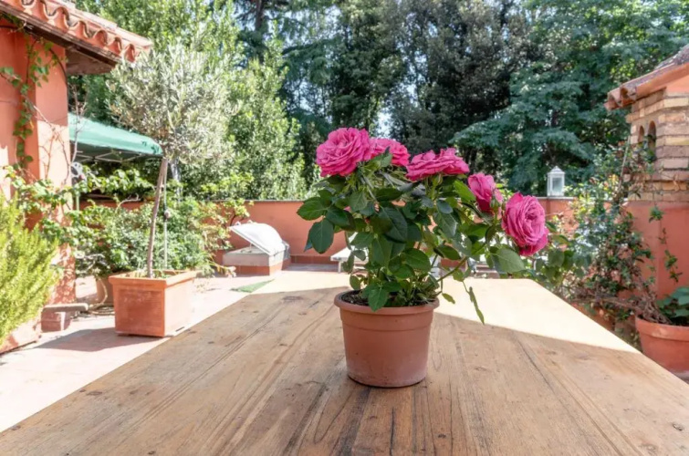 Villa Blanc House