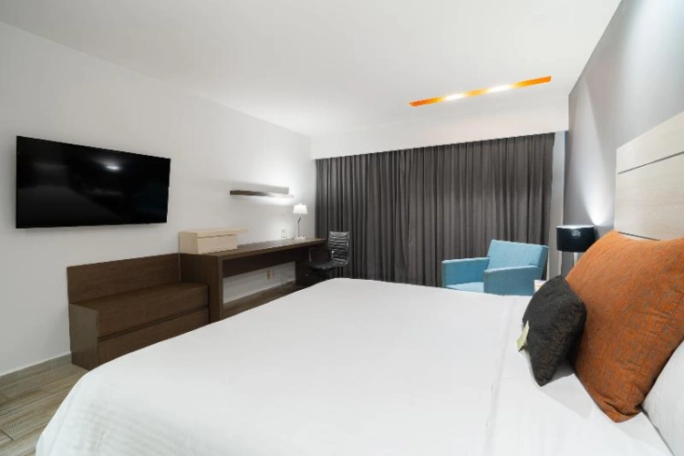 Luxury Single room