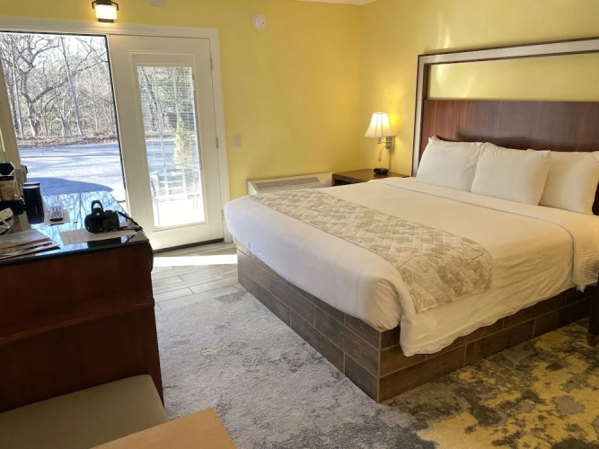 Premium Double Basement room