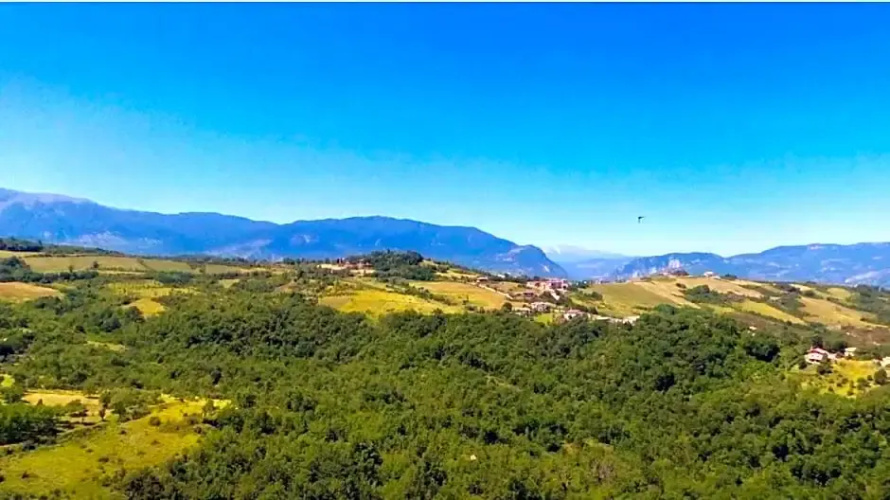 La quercia B&B
