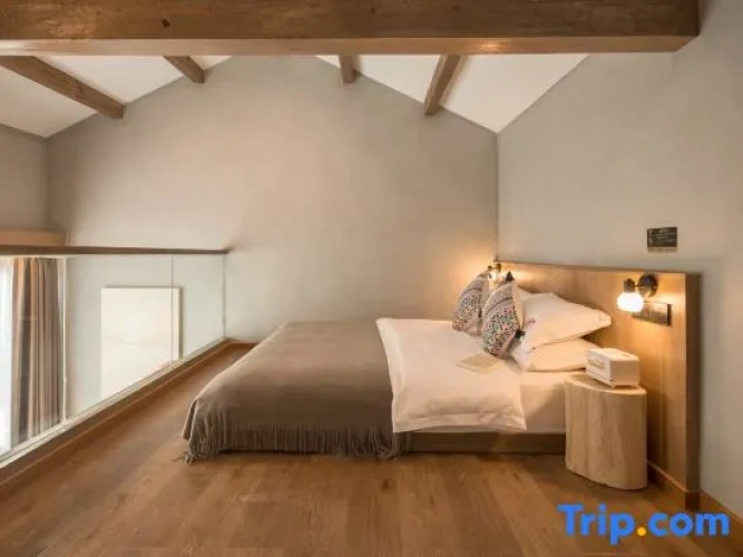 Standard Double Duplex room