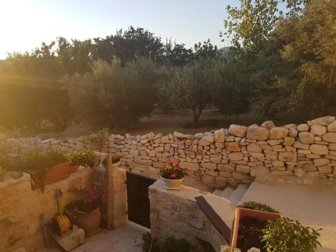 Xenia 2