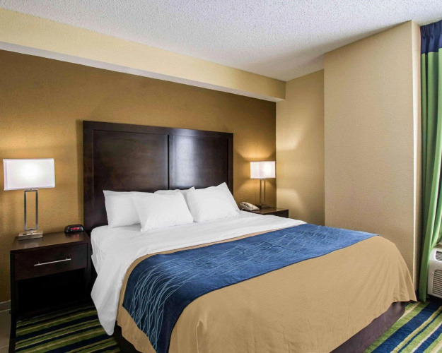 Comfort Inn & Suites Lantana West Palm Beach South photo 8