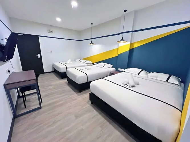 Seeds Hotel PV12