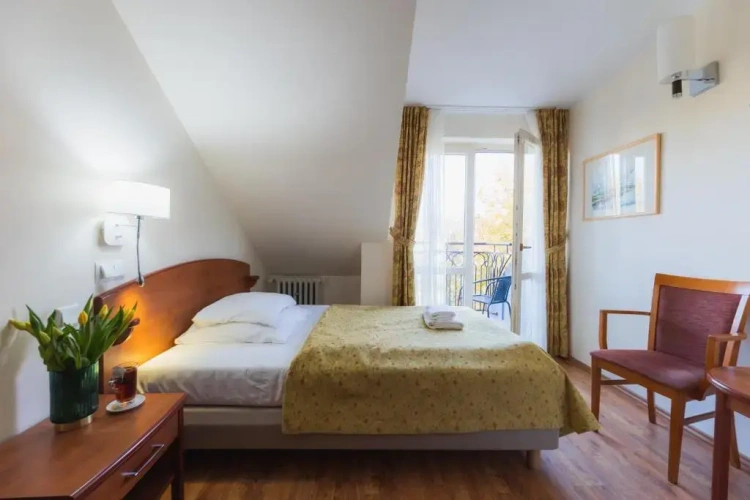Standard Double room with balcony and with view