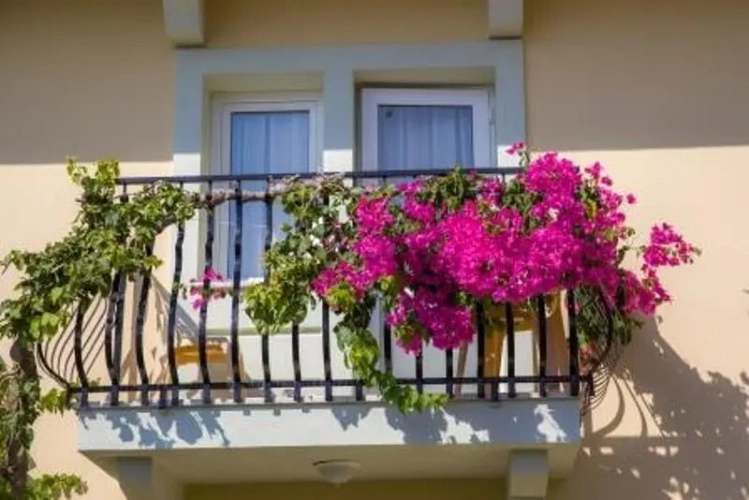 Standard Single room with balcony