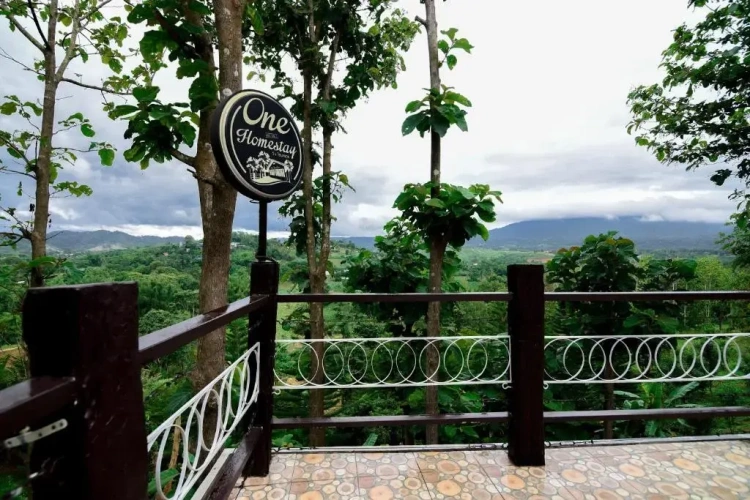 Standard Double room with mountain view