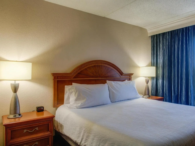 1 Bedroom Double Suite