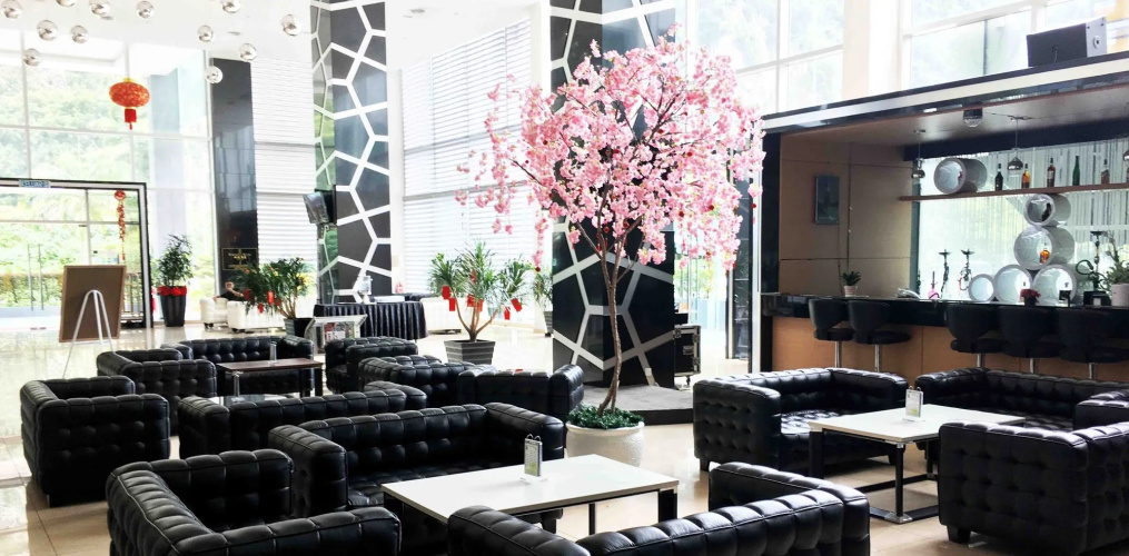 Symphony Suites