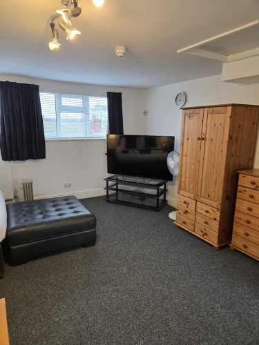 Standard Penthouse room