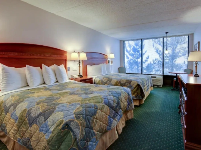 Standard Double room with city view