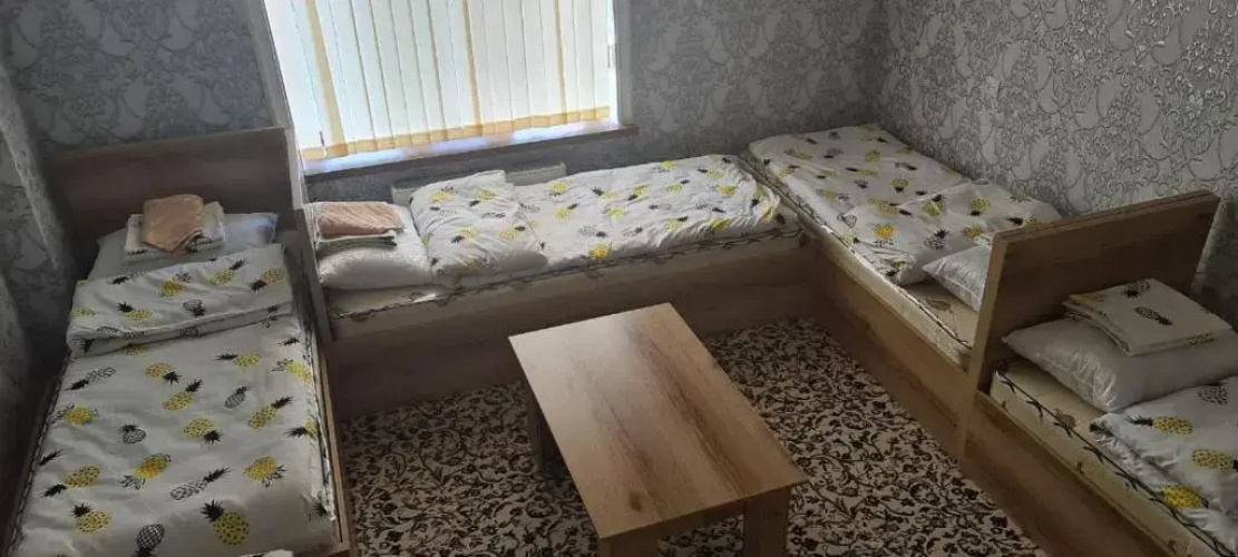 Sheykh hostel