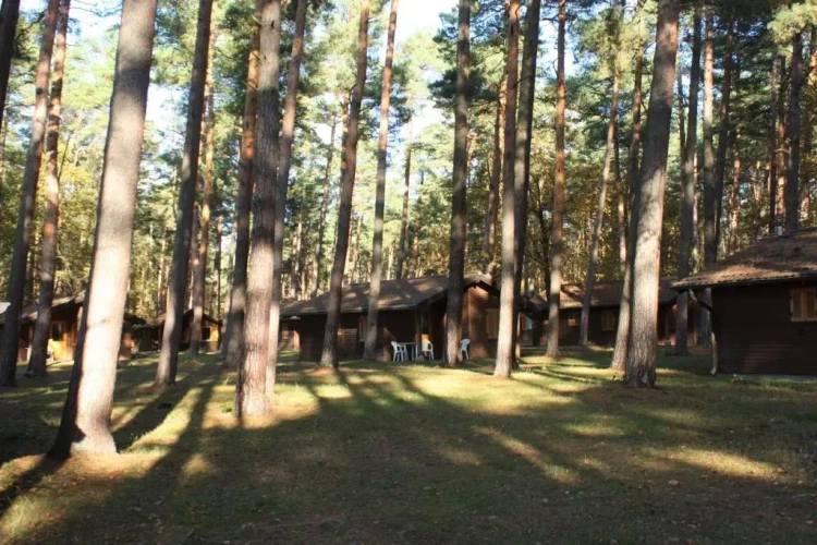 2 Bedrooms Double Bungalow