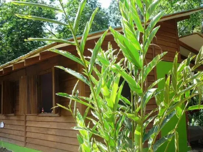 Casa Lina Eco Lodge