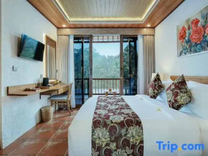Deluxe room with view
