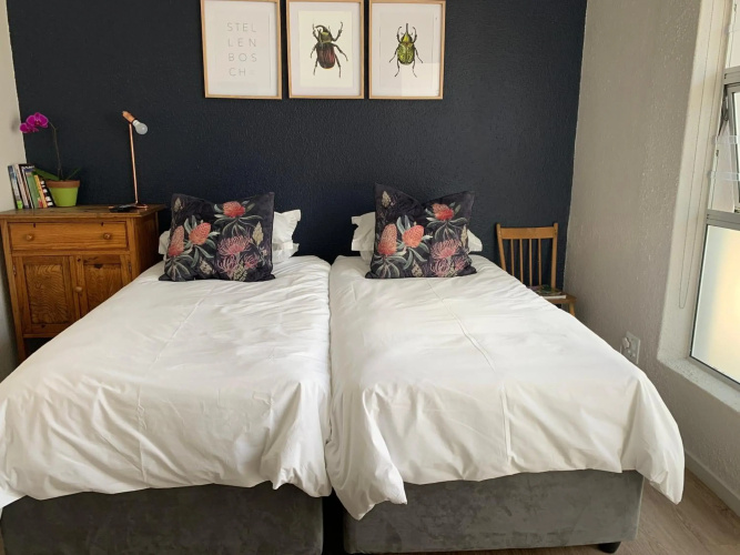Olive tree private rooms in Stellenbosch