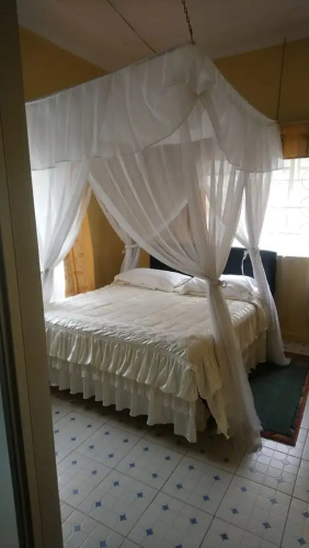 Dreamland Hotel
