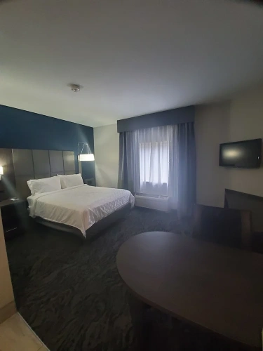 1 Bedroom Suite